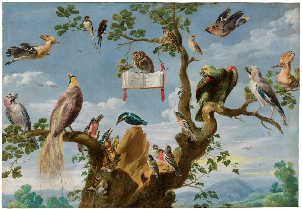 Frans Snyders, Concert of Birds (1630)